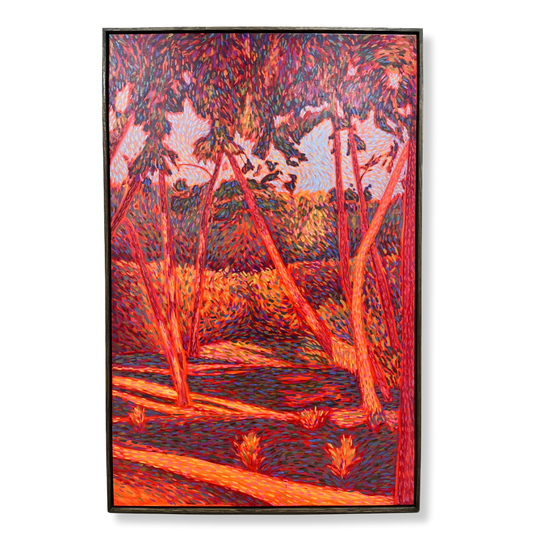 Evening Pine in Ugento