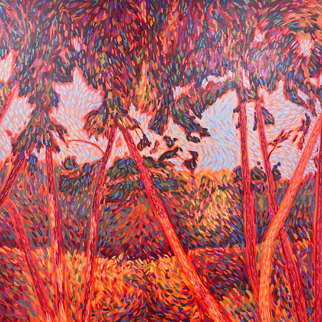 Evening Pine in Ugento