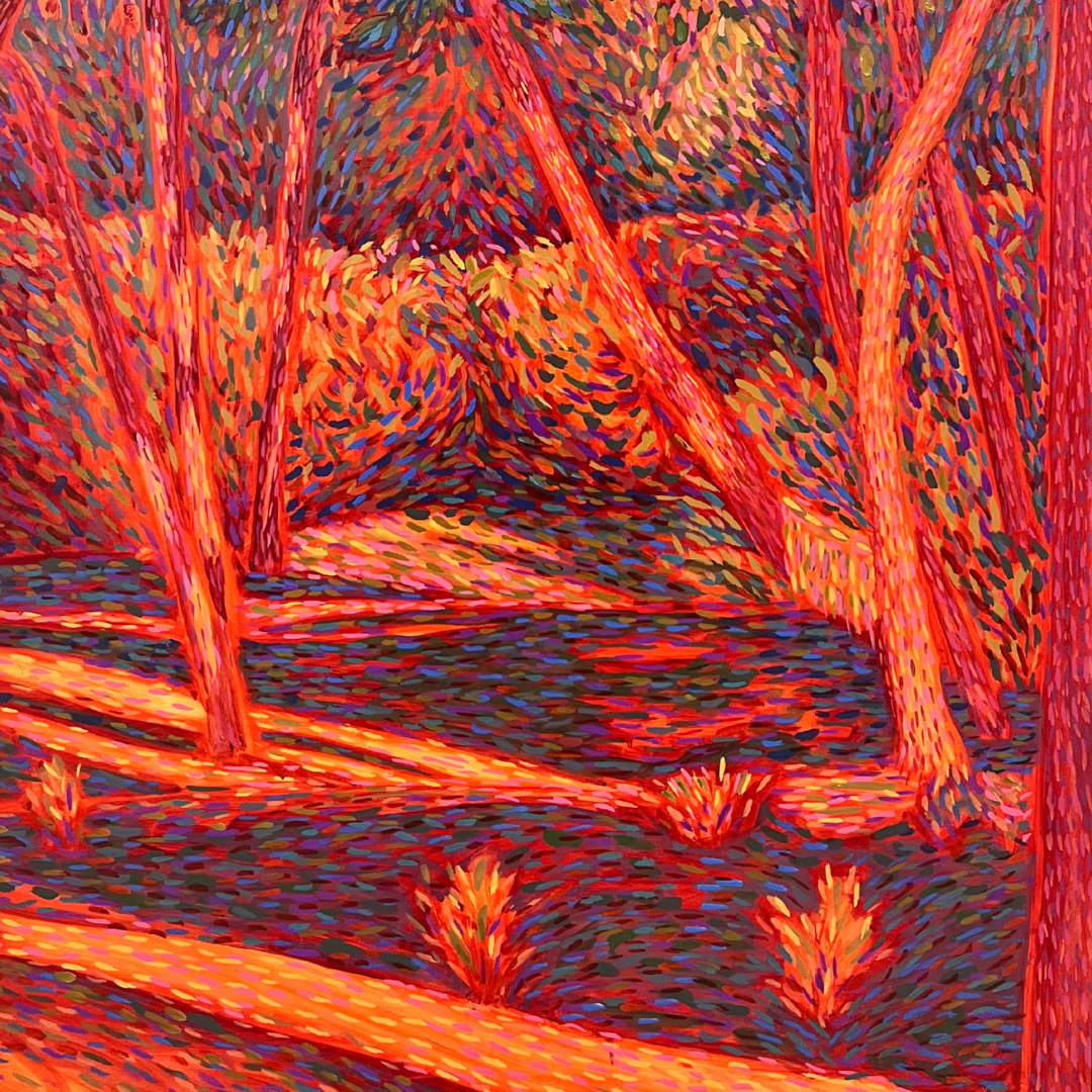 Evening Pine in Ugento