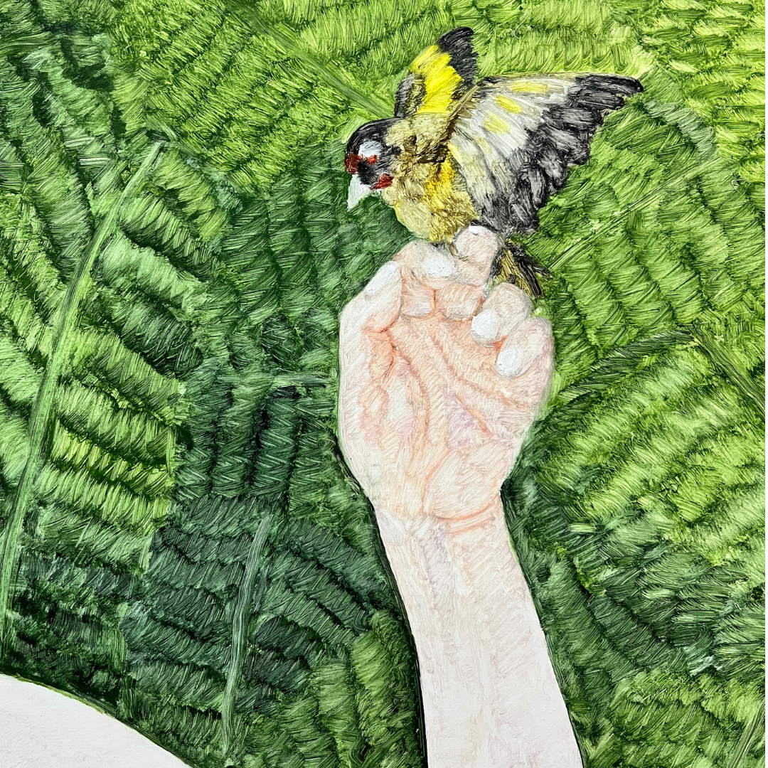 A Bird in Hand