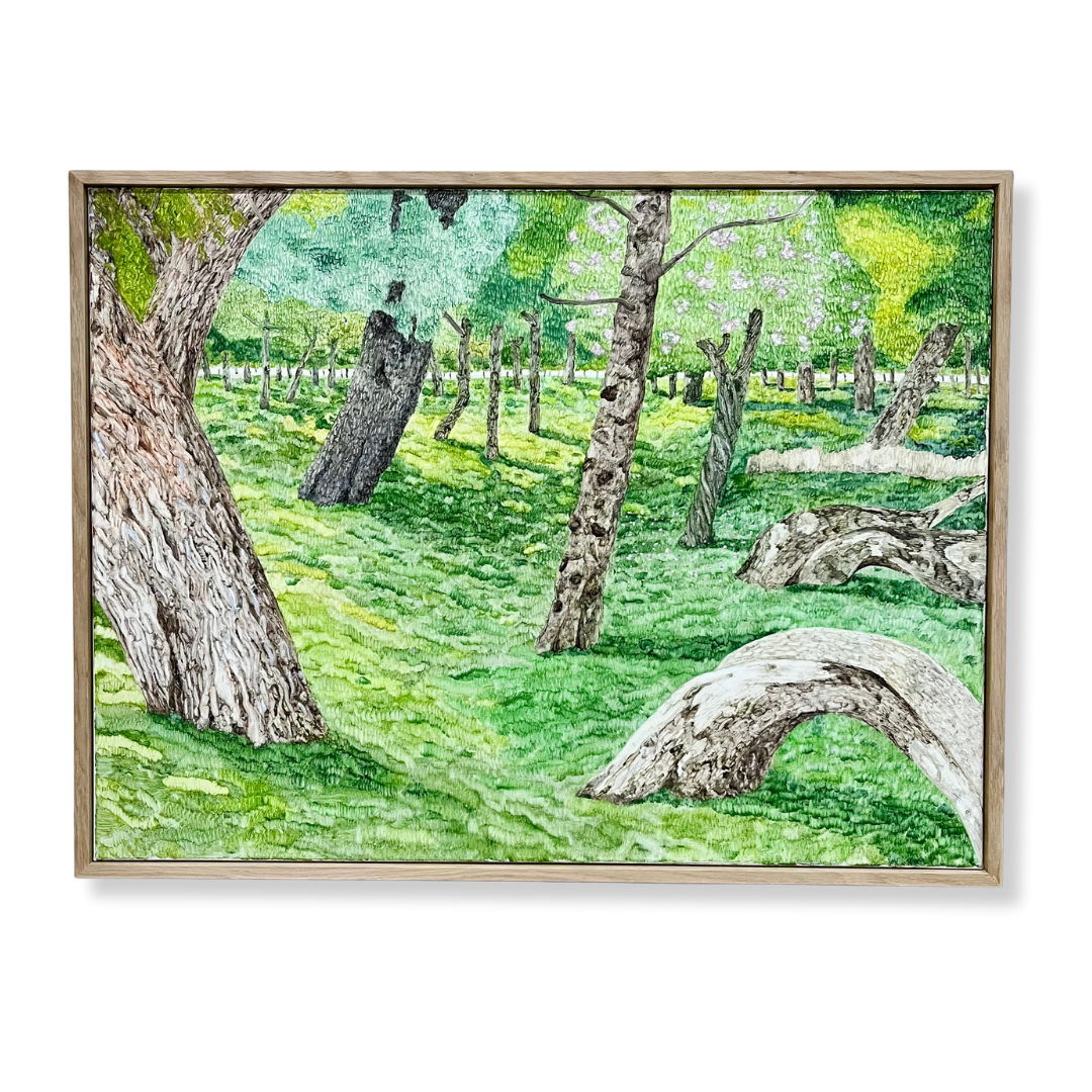 The Park
