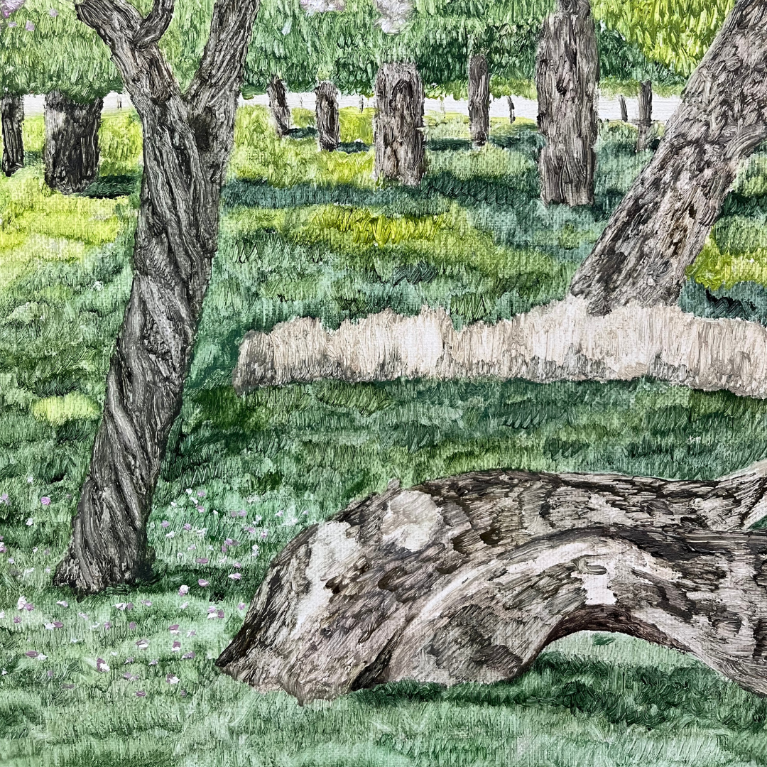 The Park