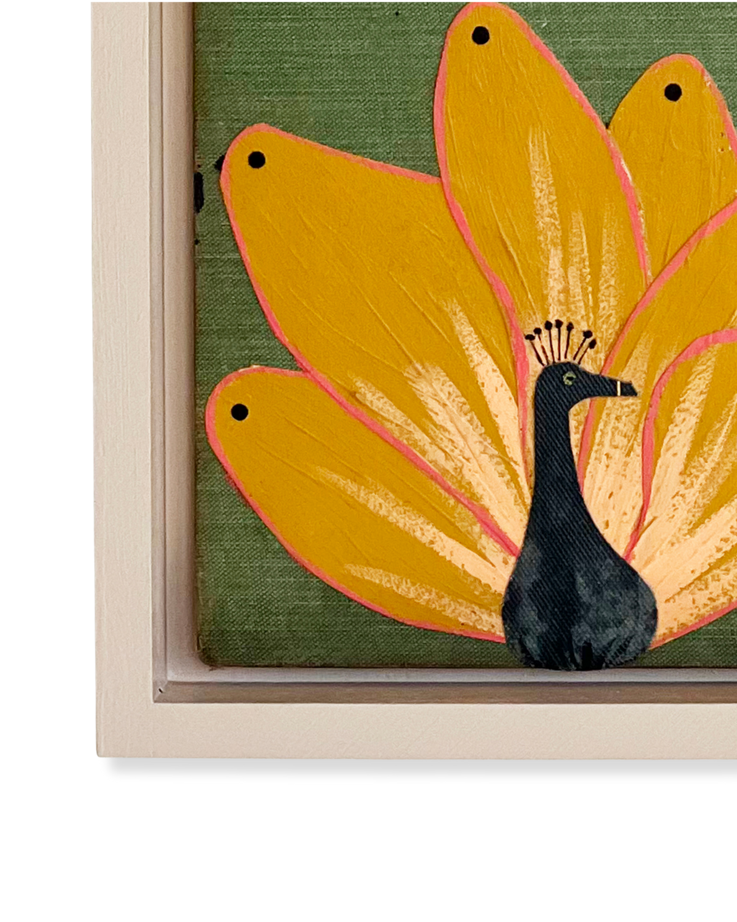 Peacock