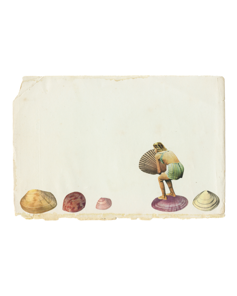 Shell