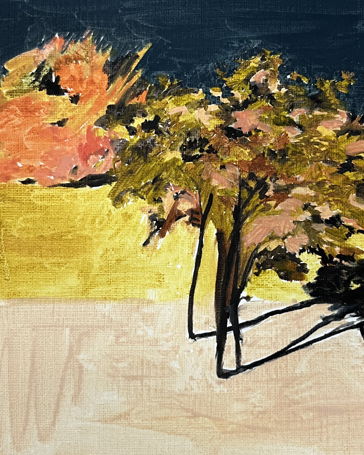 Tangerine Light