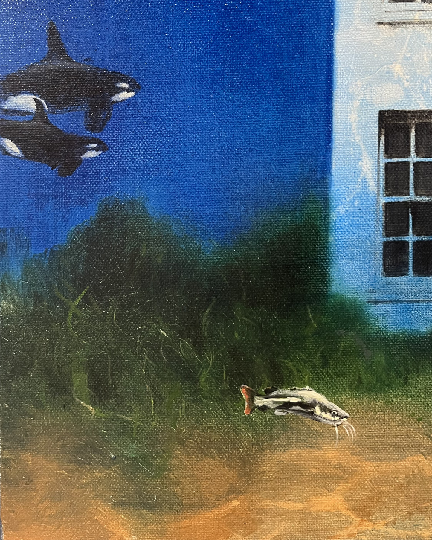 The Fisherman's House