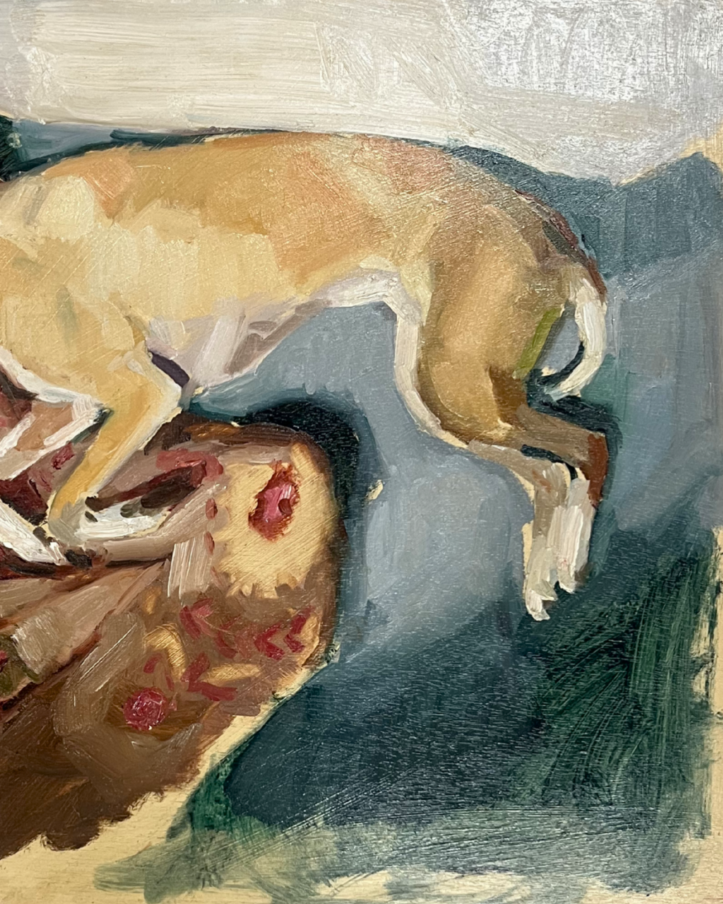 Dog Dreaming