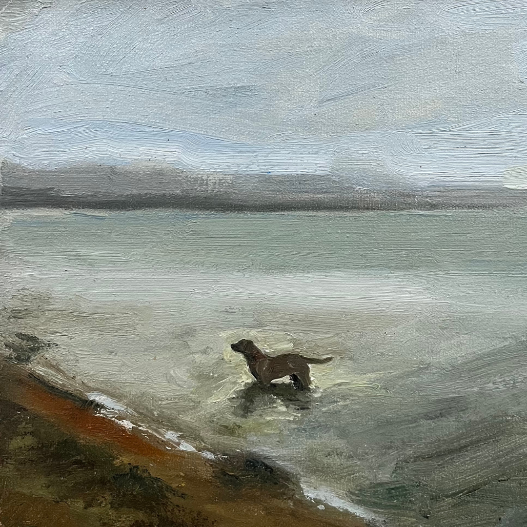 Sea Dog