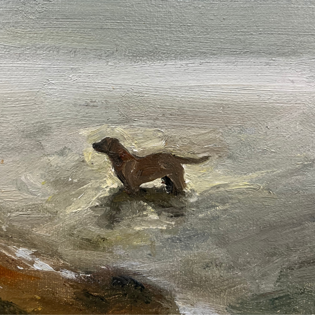 Sea Dog