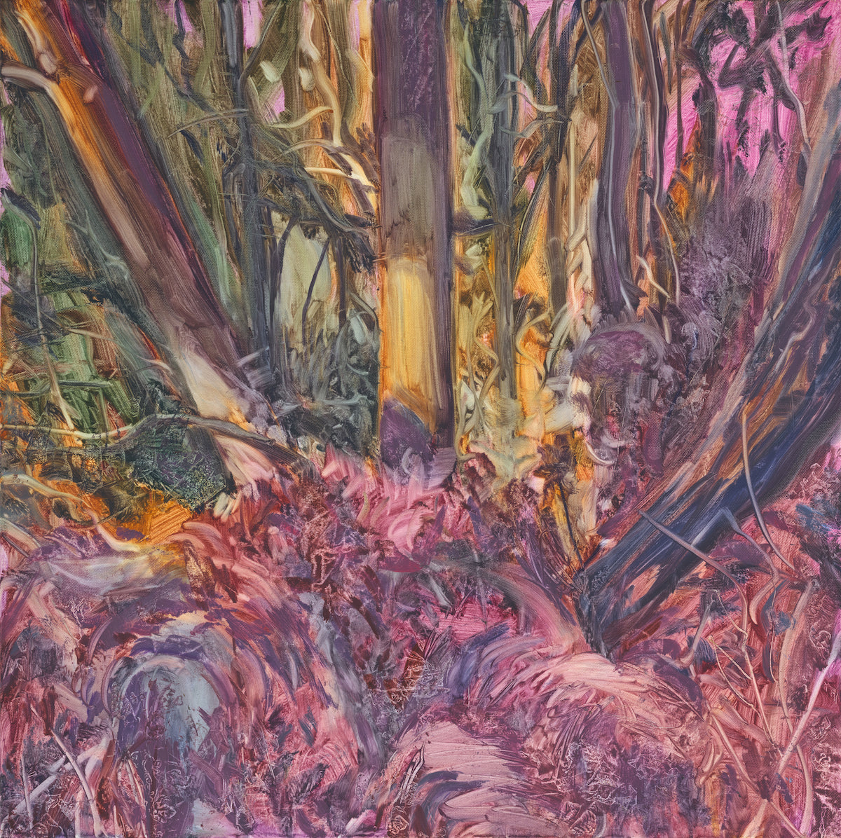 Emerging Trees