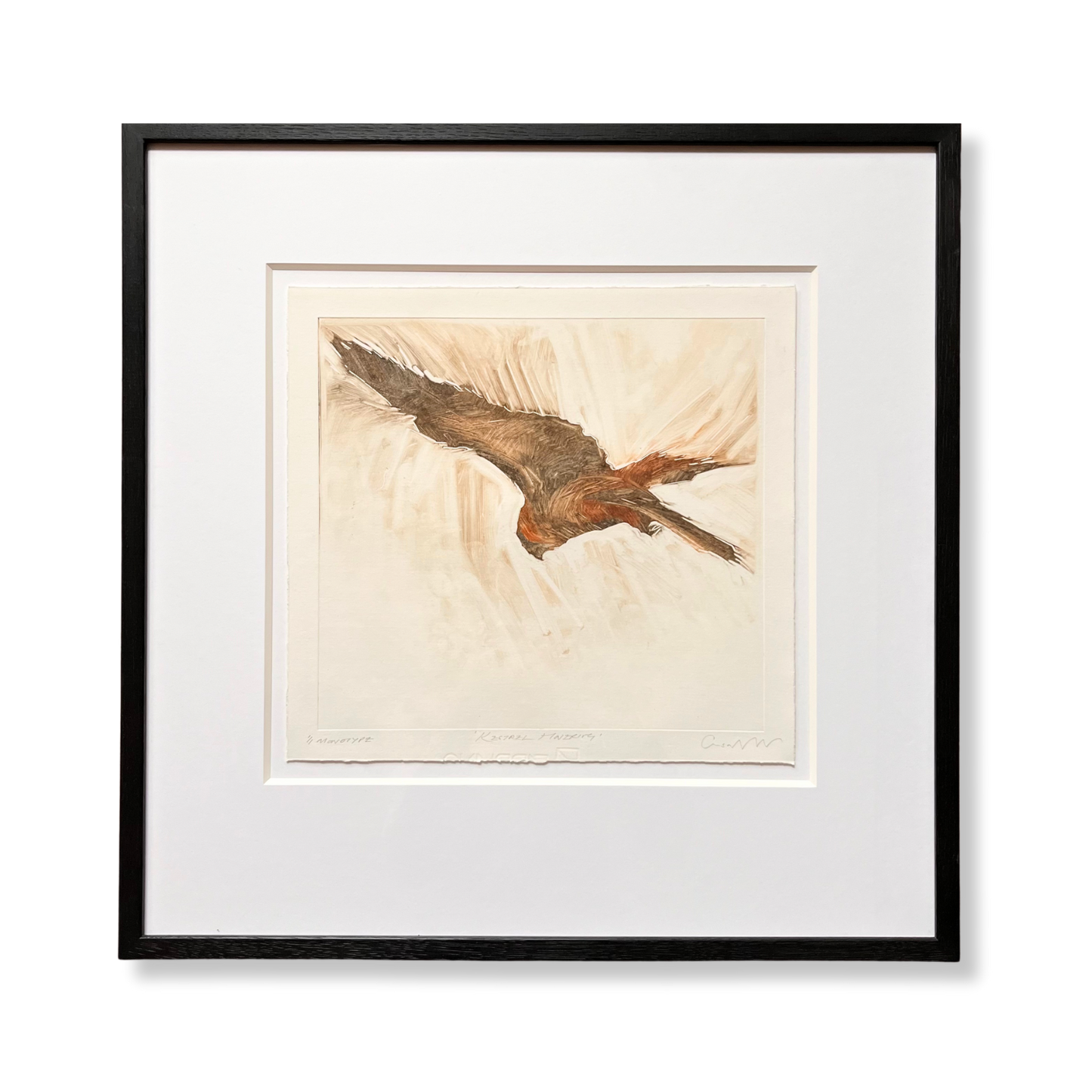 Kestral Hovering