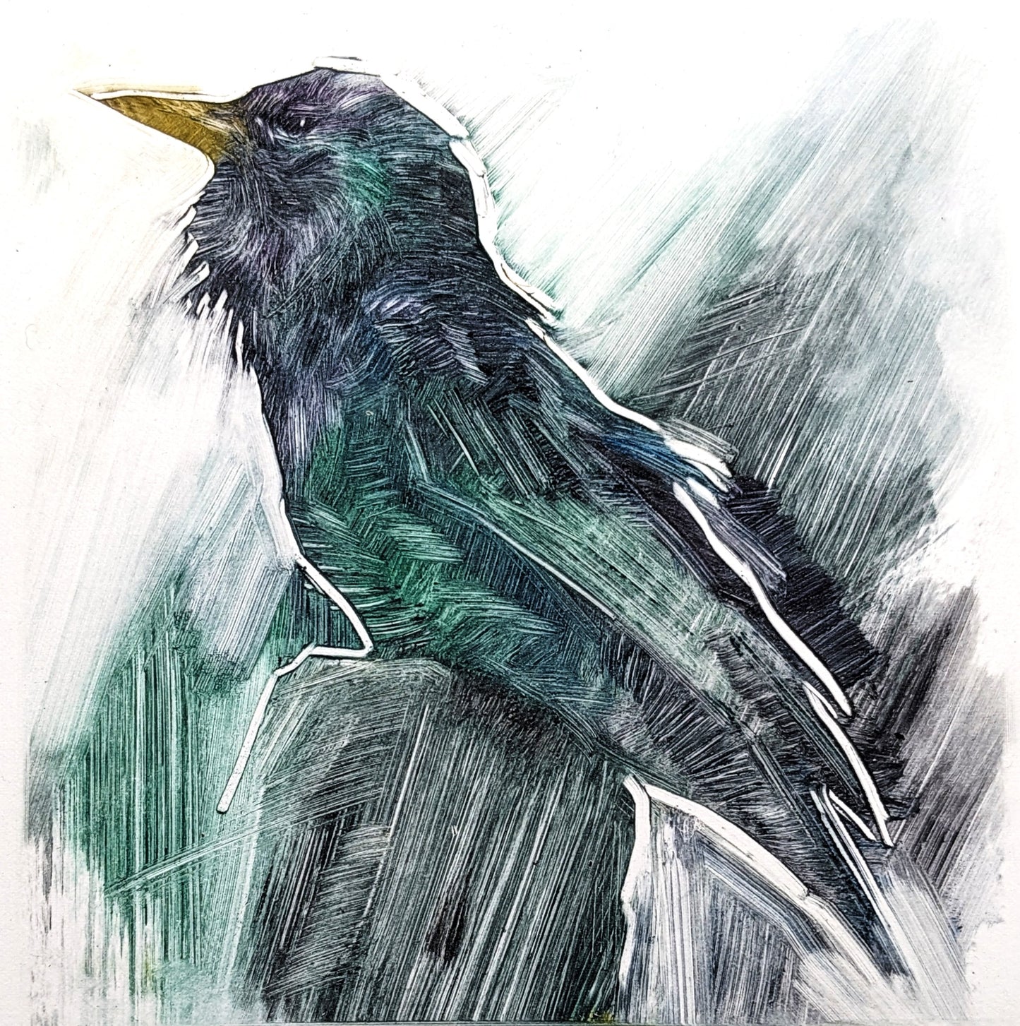 Starling