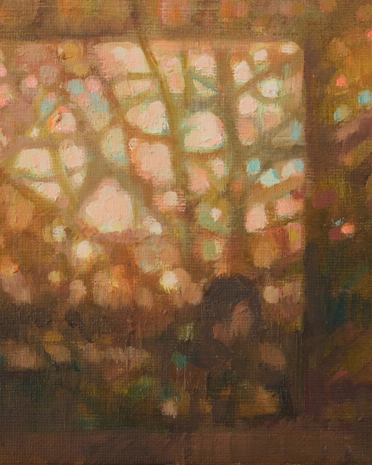 Looking Through