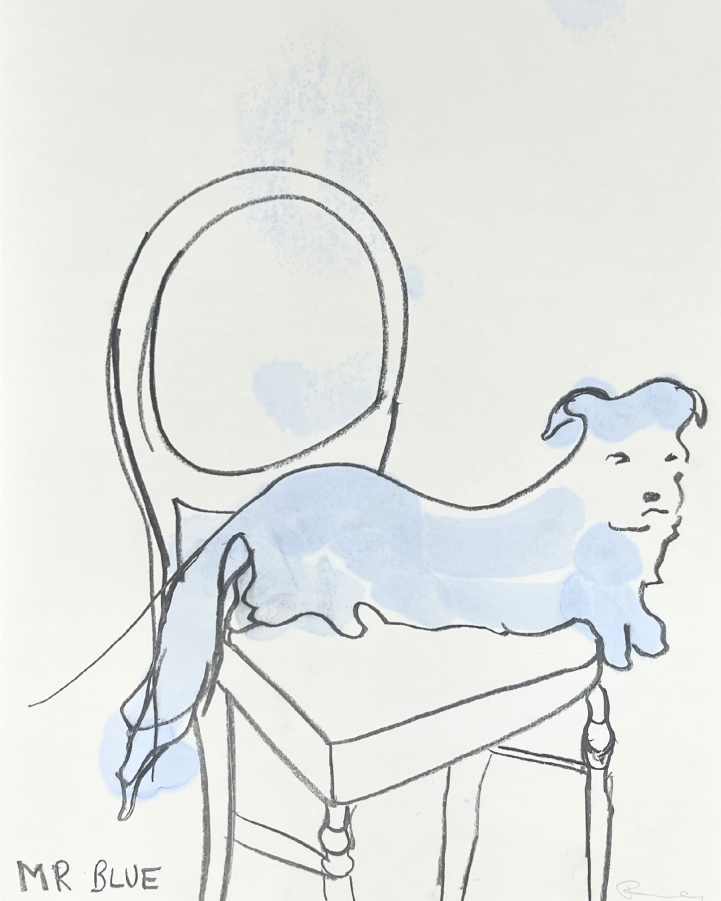 Mr Blue