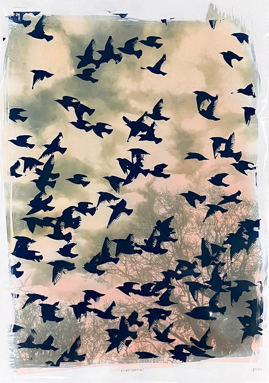 Murmuration (sunset tones)