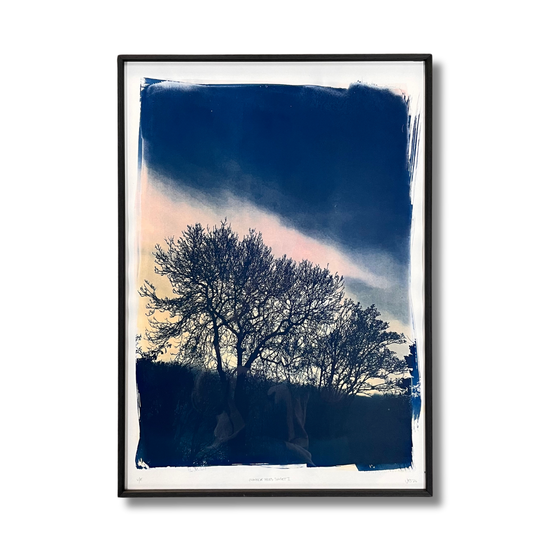 Winter Trees Sunset I (framed)