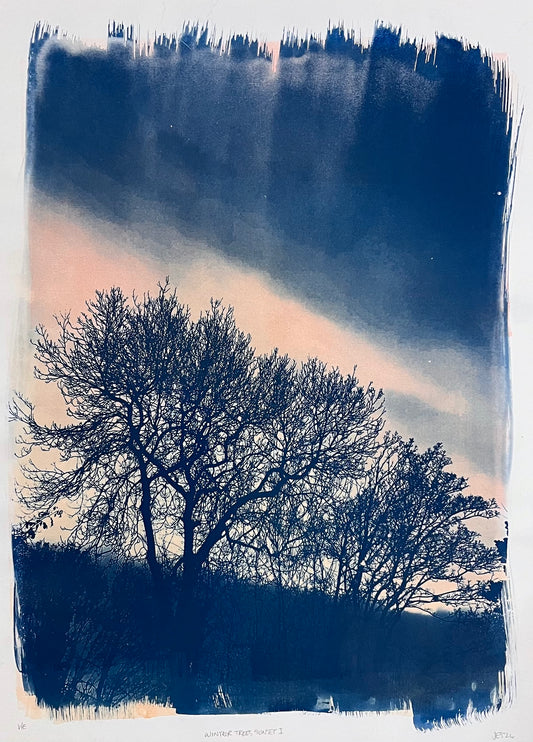 Winter Trees Sunset I