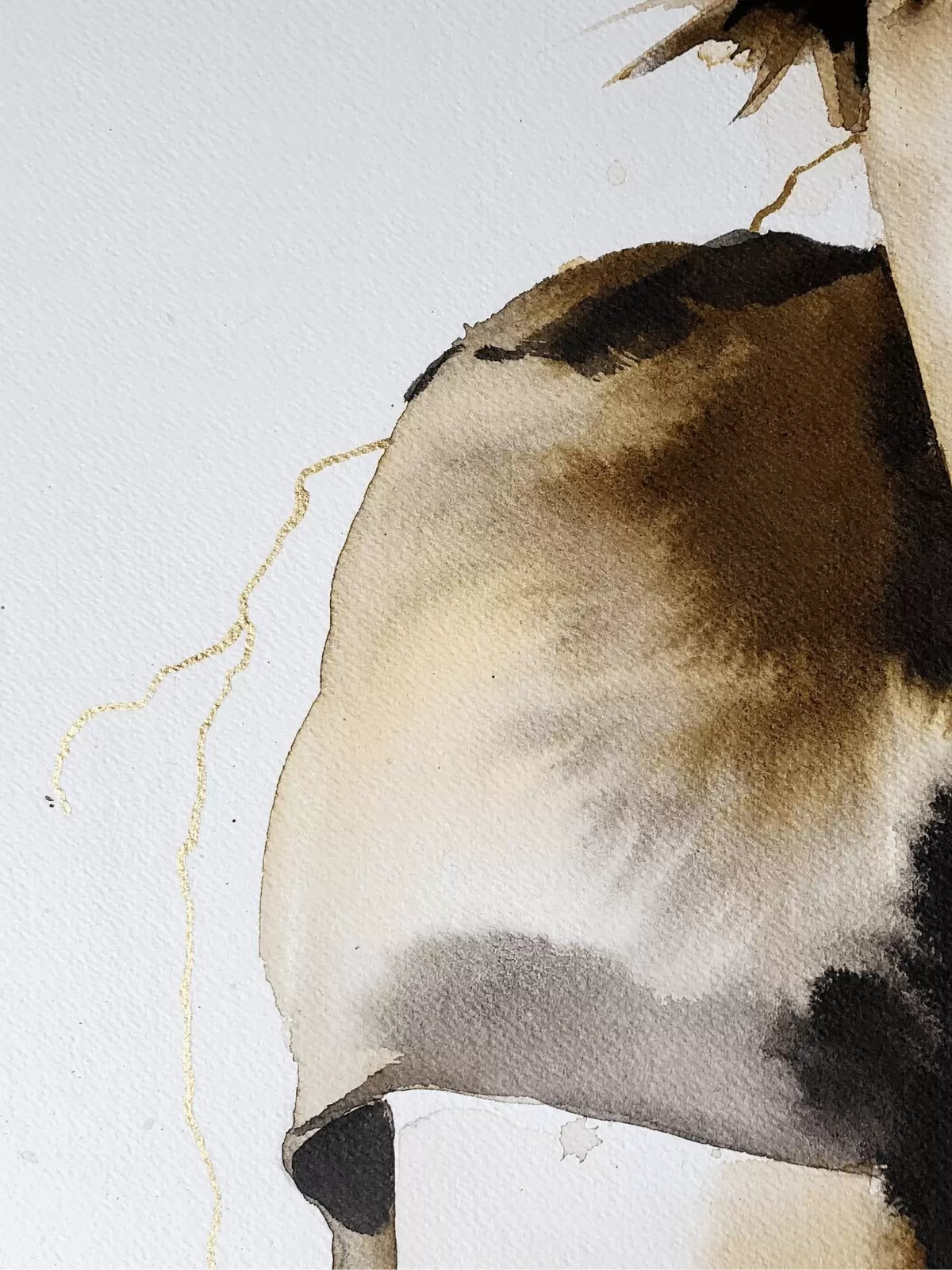 How the Light Gets In