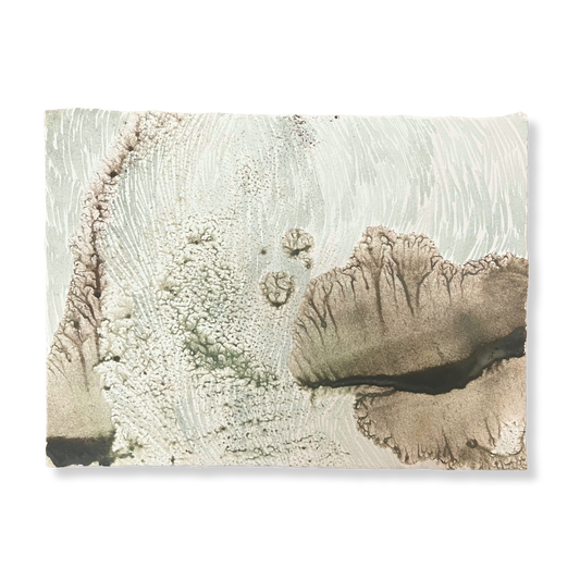 Study 4