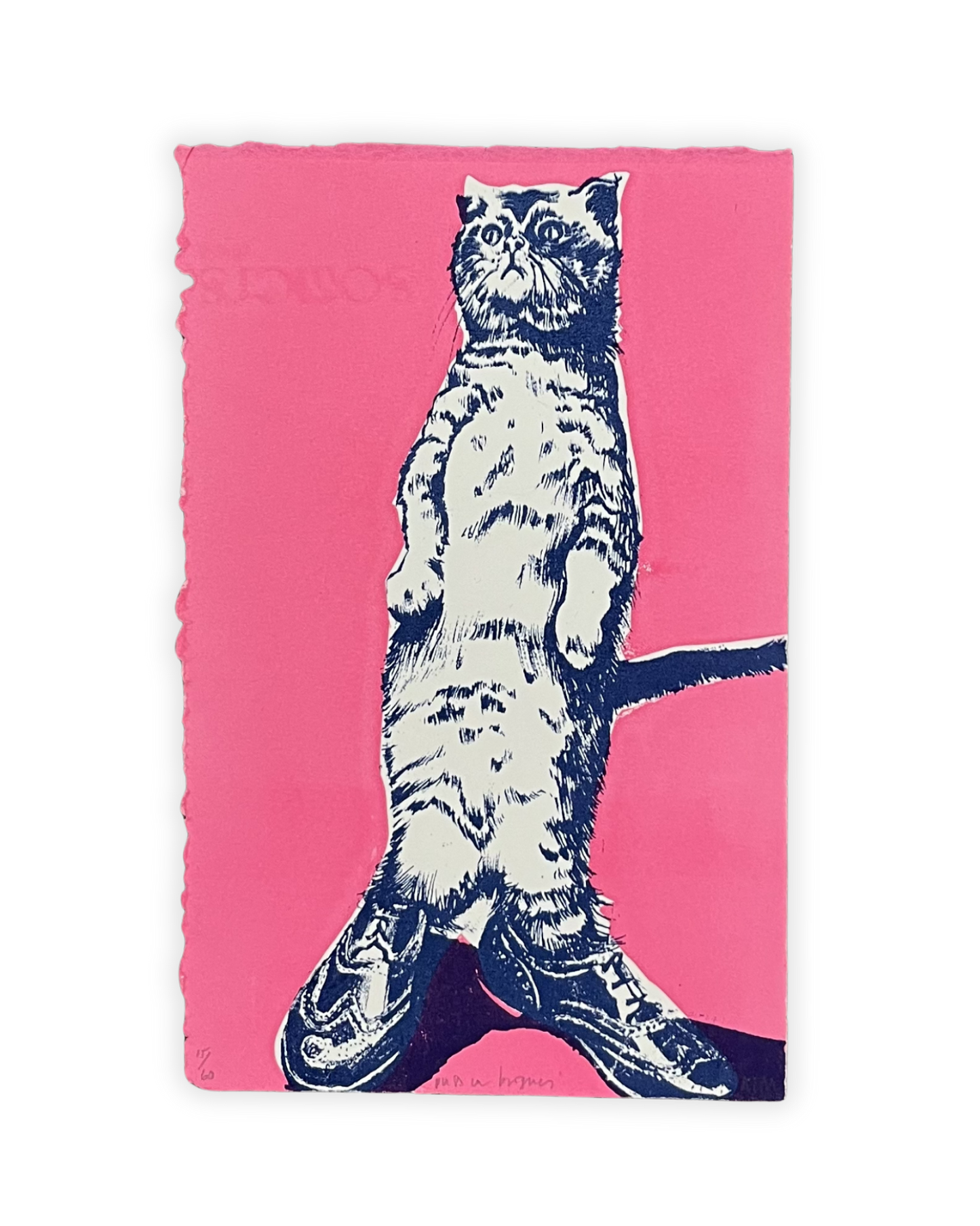 Puss in Brogues