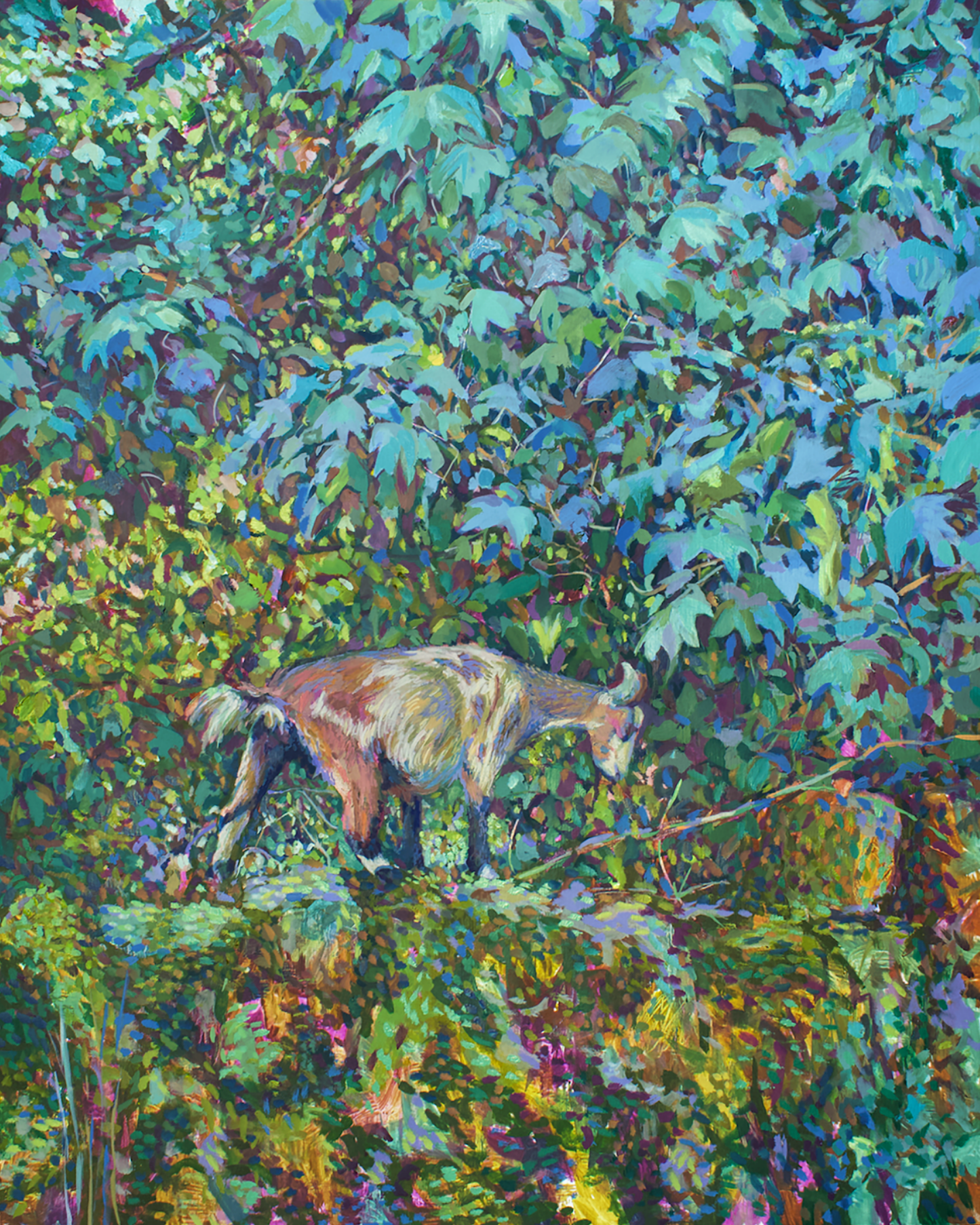 Goat on a Wall