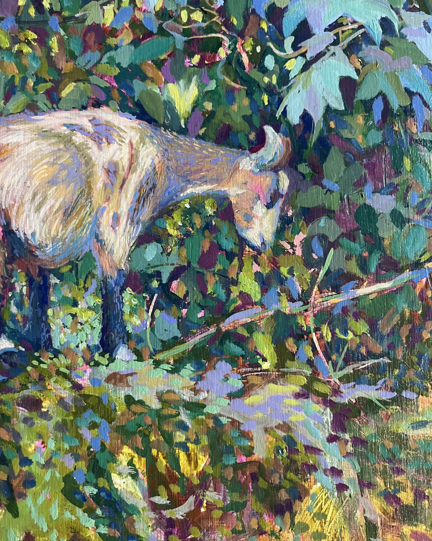 Goat on a Wall