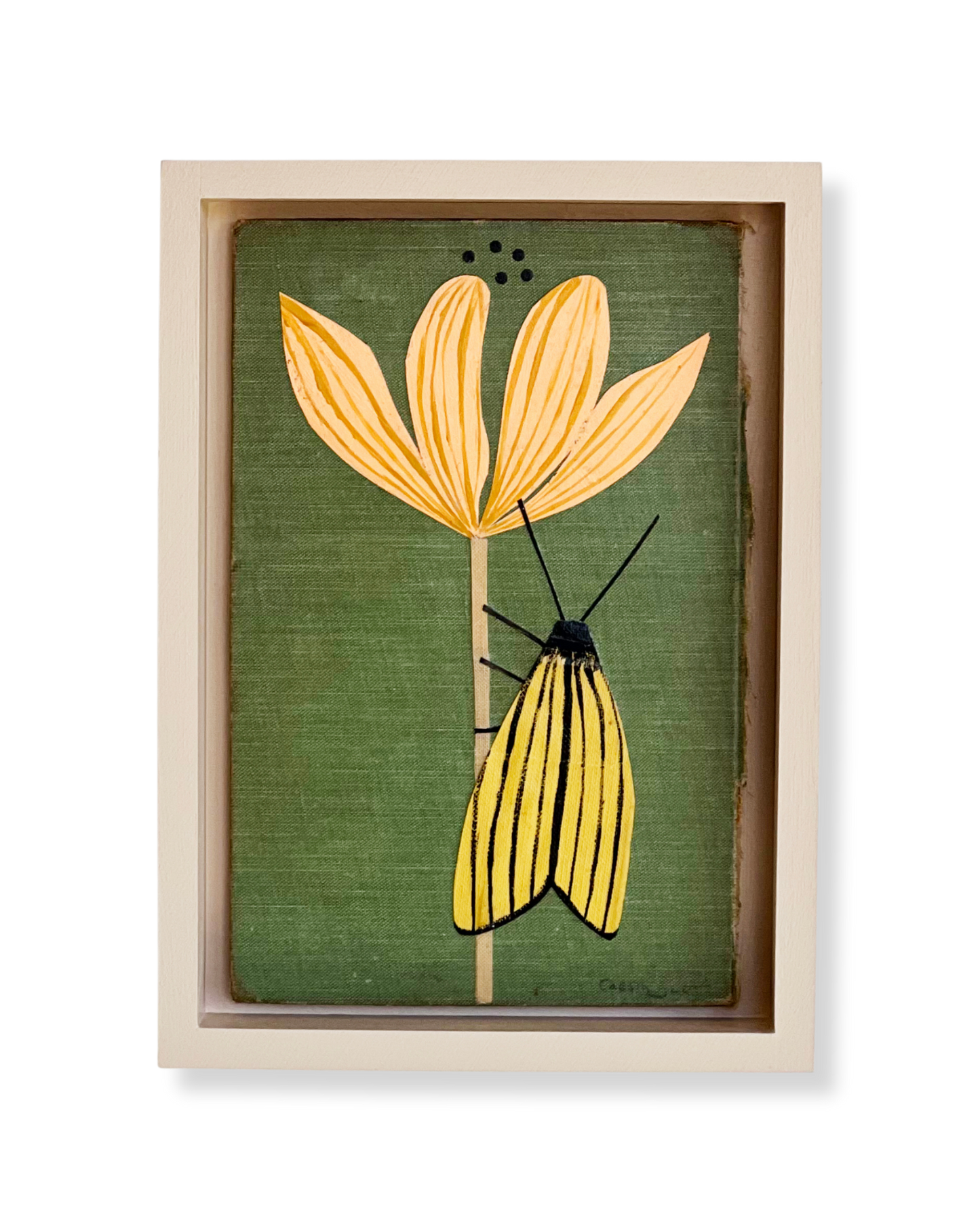 Moth and Flower