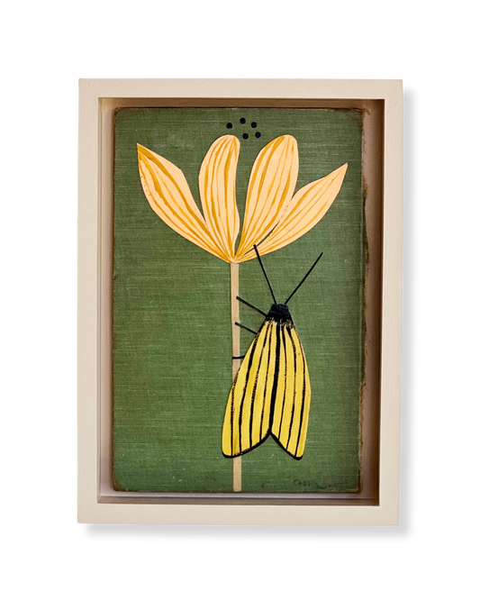 Moth and Flower