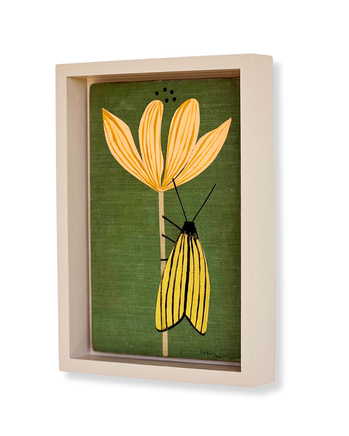 Moth and Flower