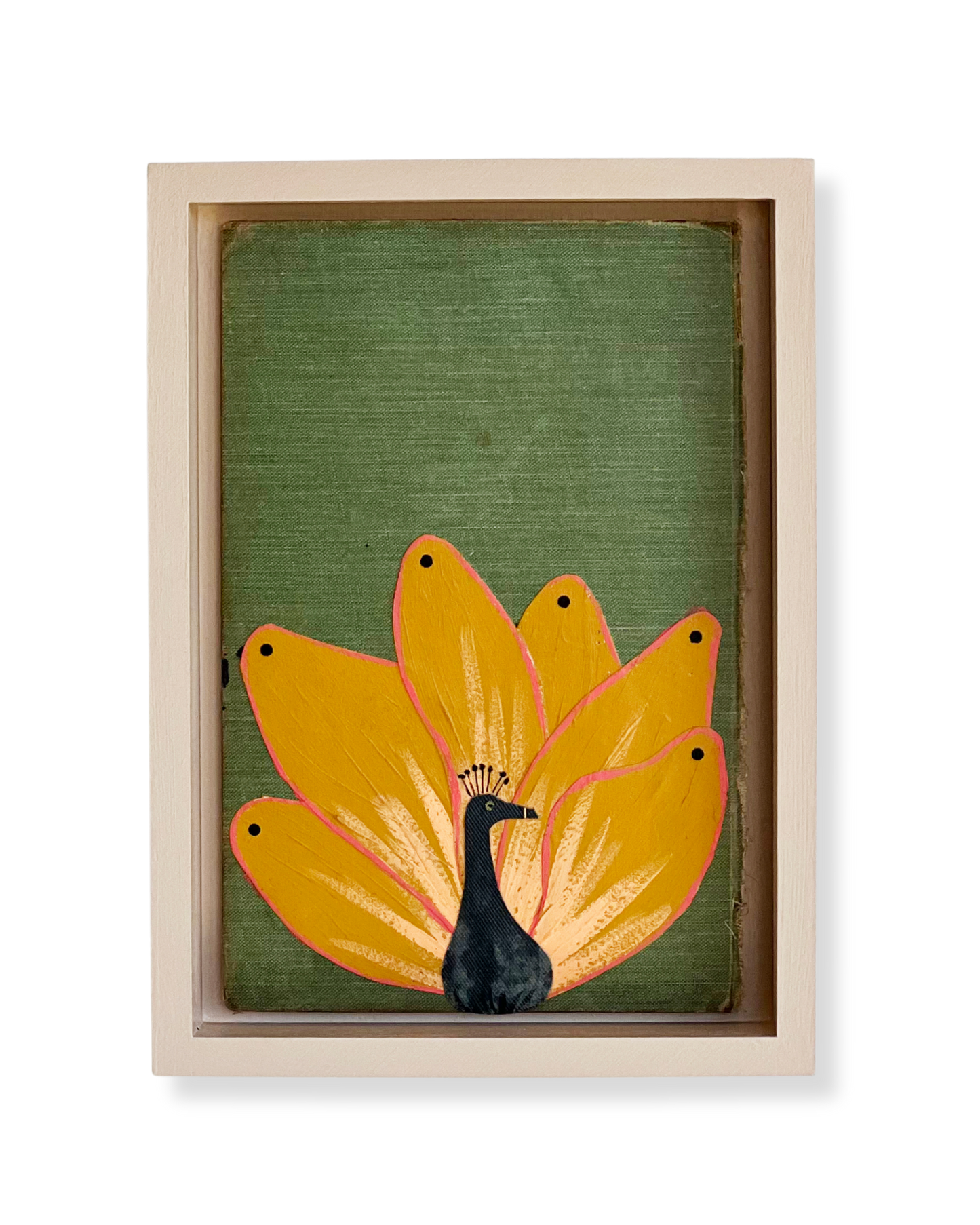 Peacock