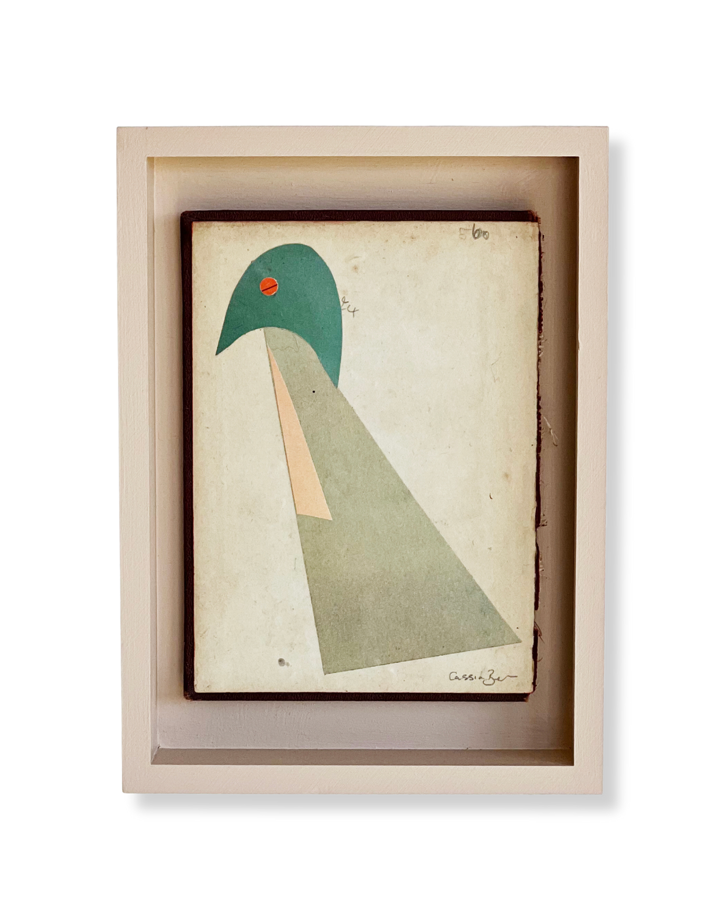 Pigeon