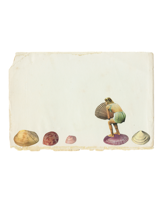 Shell