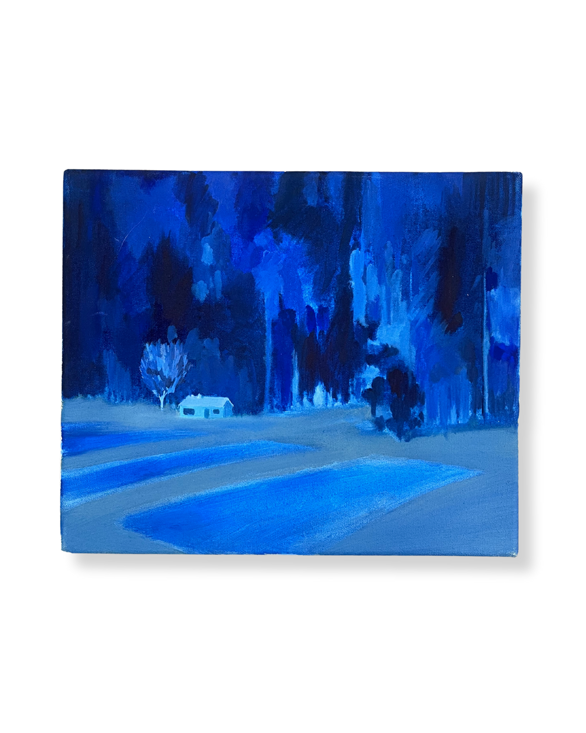 Deep Blue Woods