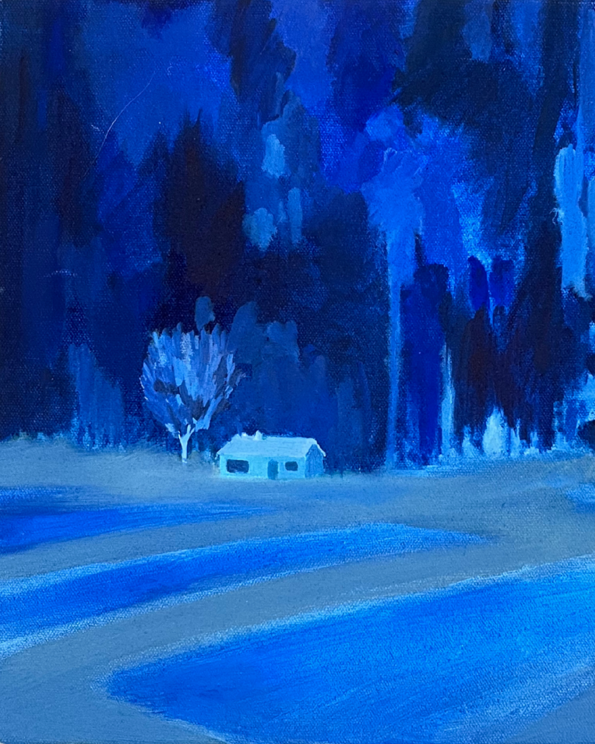 Deep Blue Woods