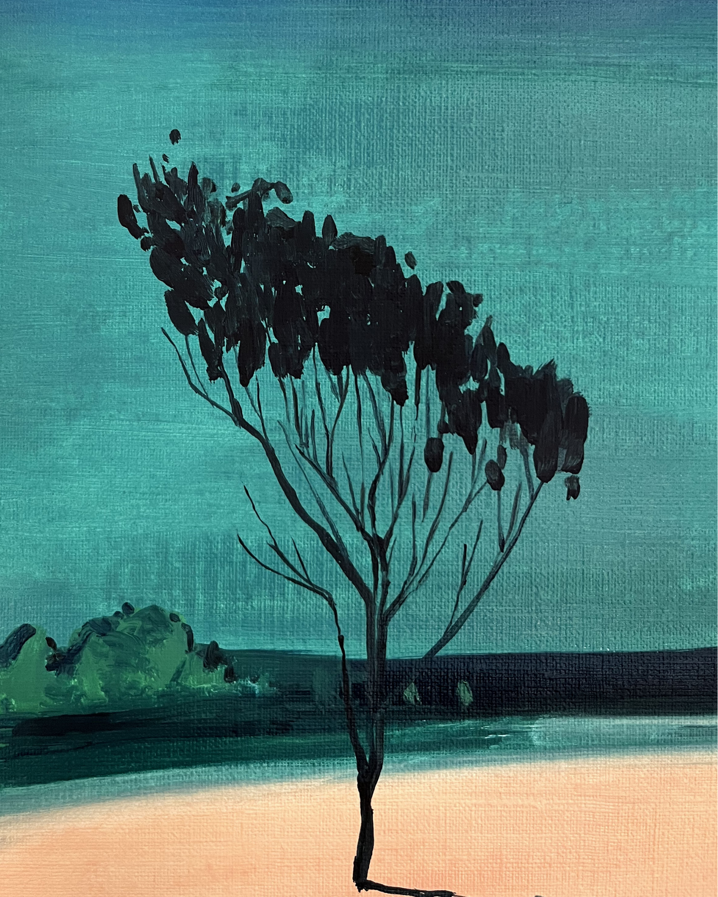 Edge of Turquiose