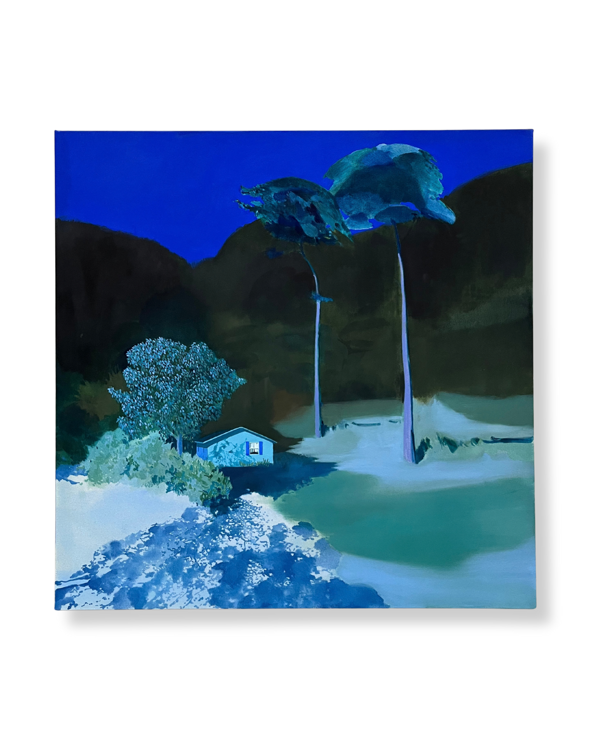 Twilight Hours