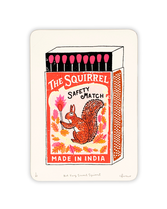Not Very Secret Squirrel