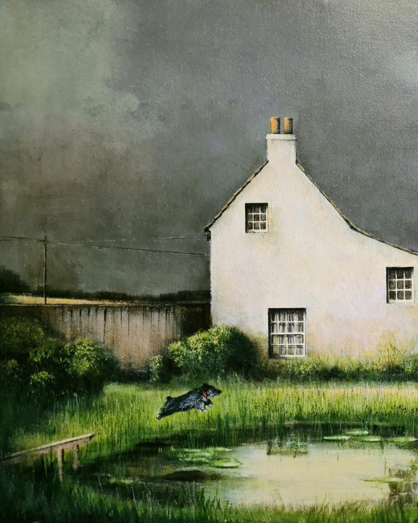 The Daredevil's House