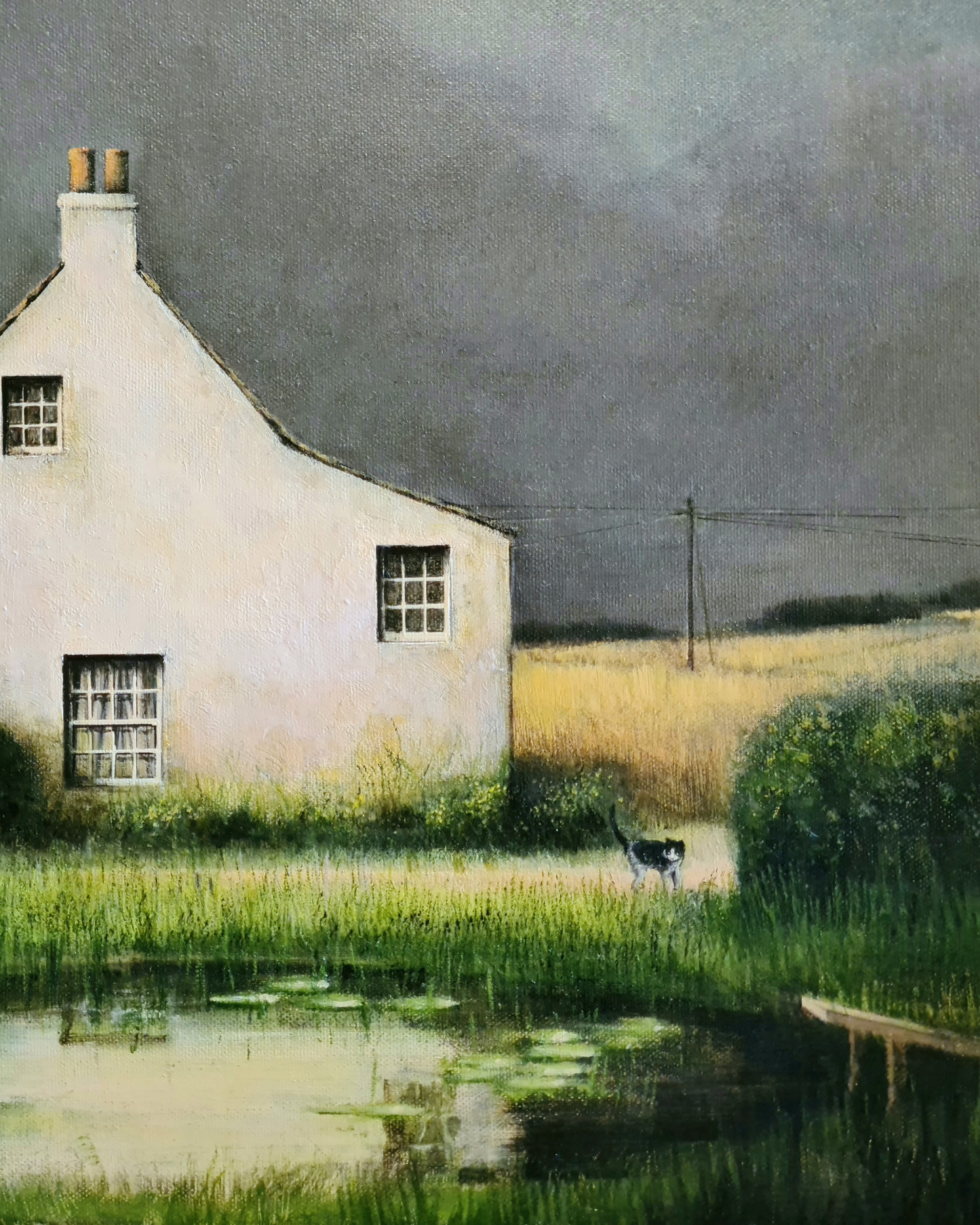 The Daredevil's House