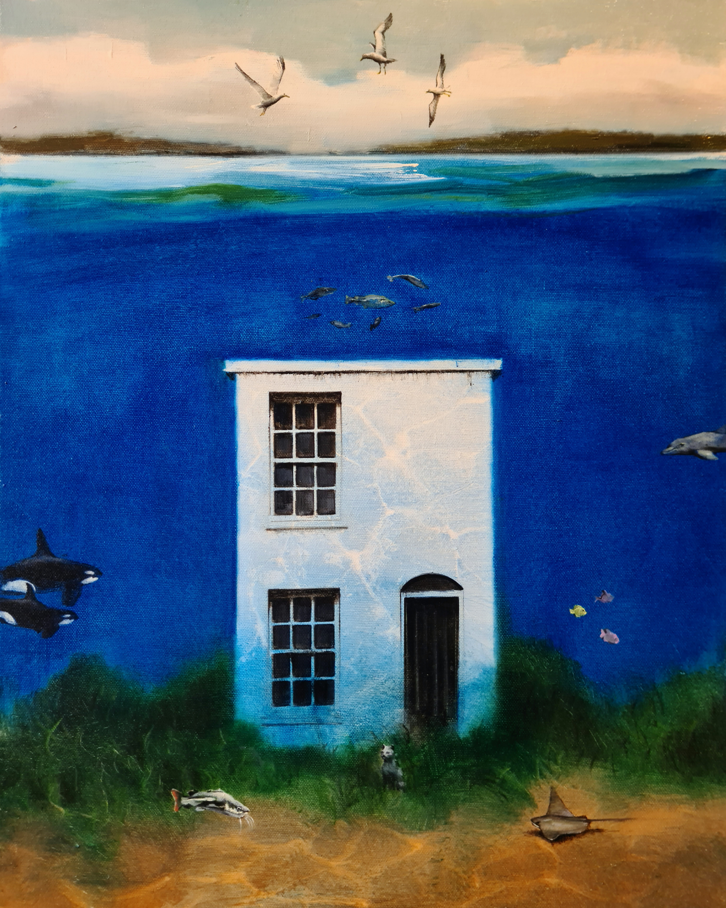 The Fisherman's House