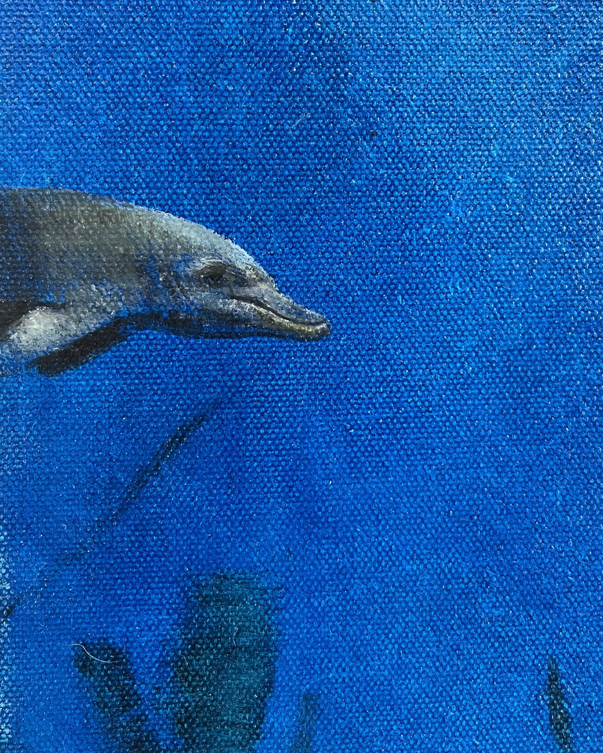 The Oceanographer's House