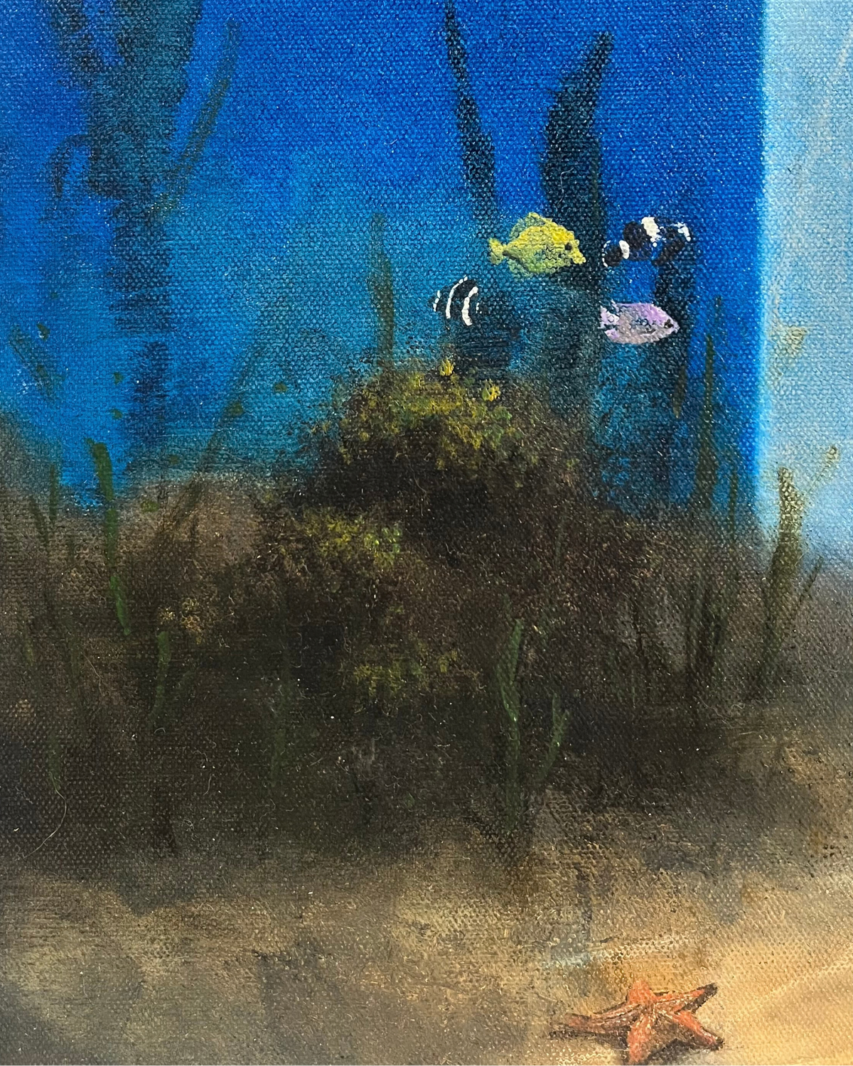 The Oceanographer's House