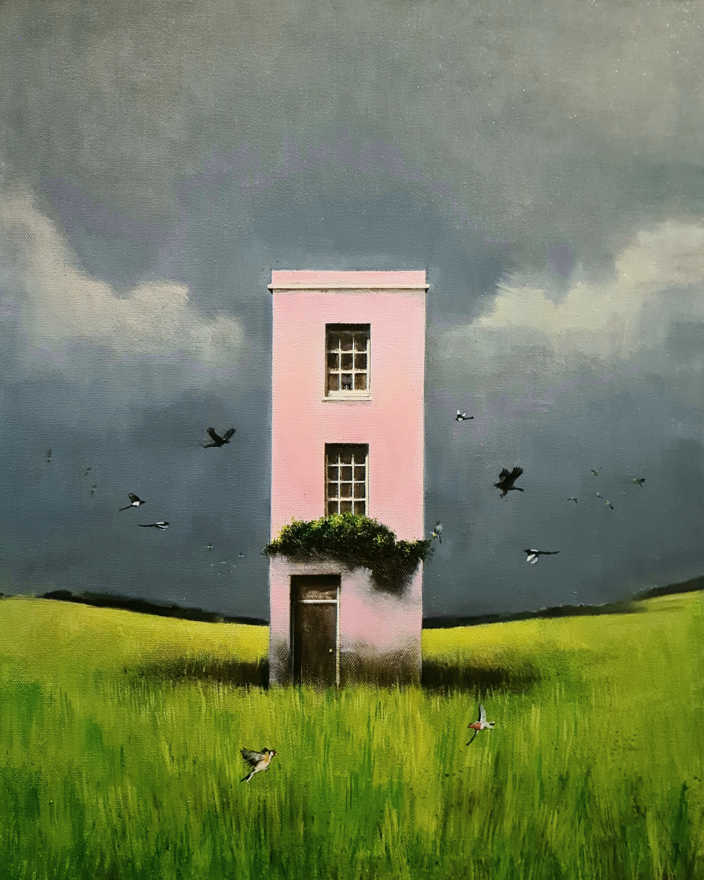 The Ornithologist's House