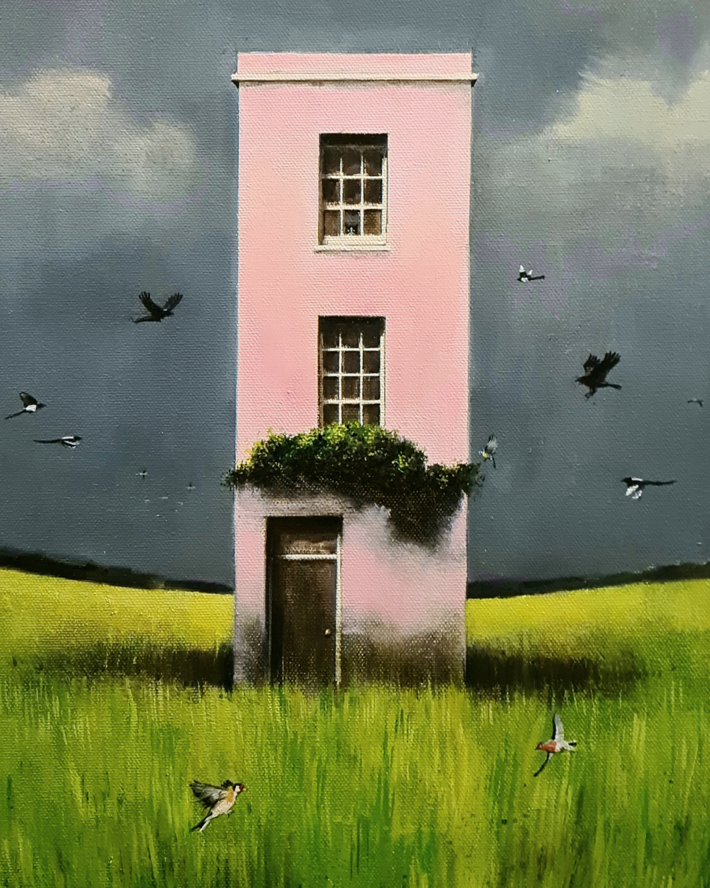 The Ornithologist's House