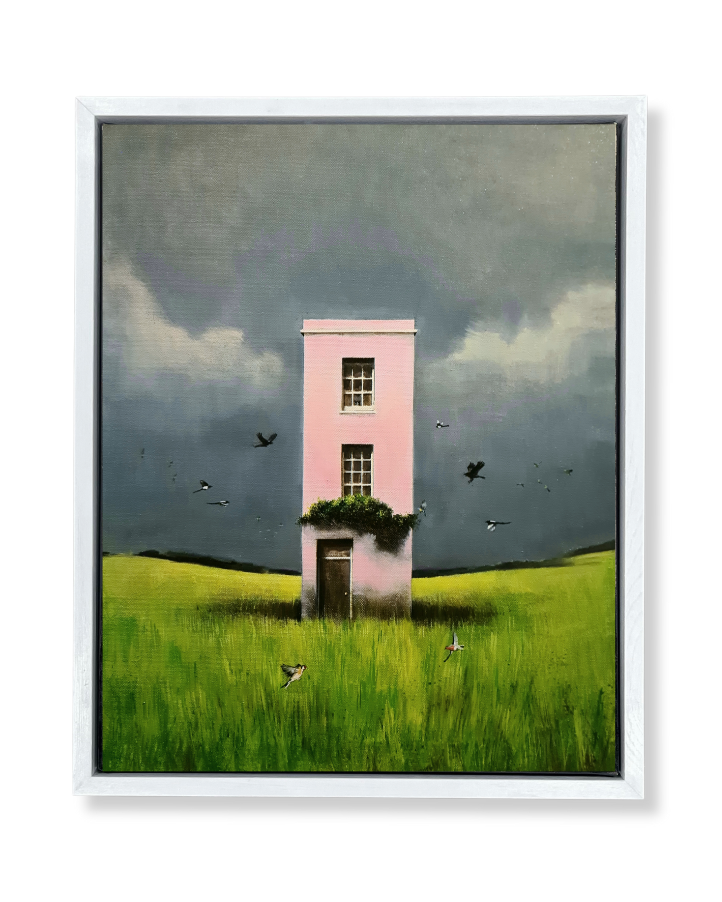 The Ornithologist's House