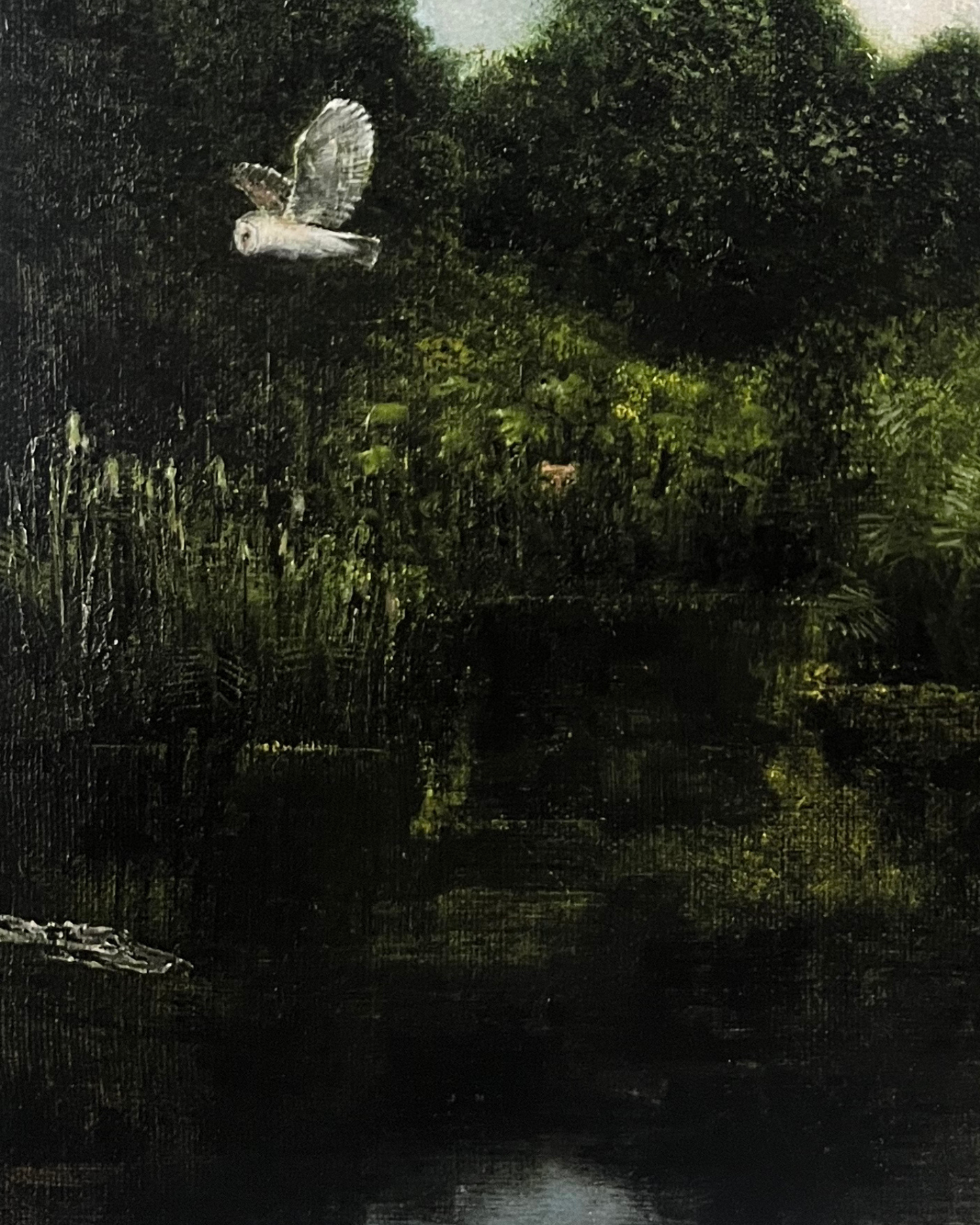 The Zoologist's House limited edition print