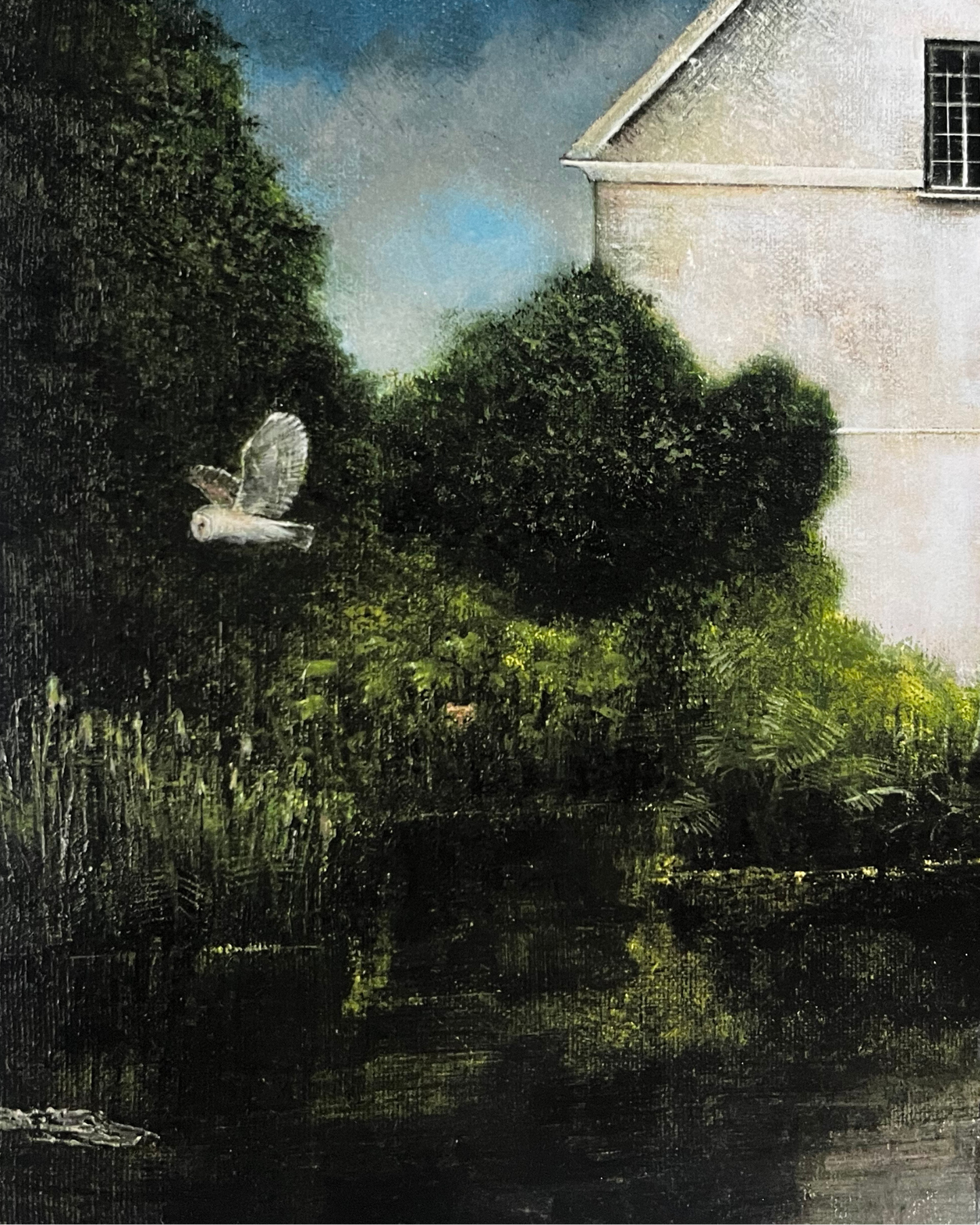 The Zoologist's House limited edition print