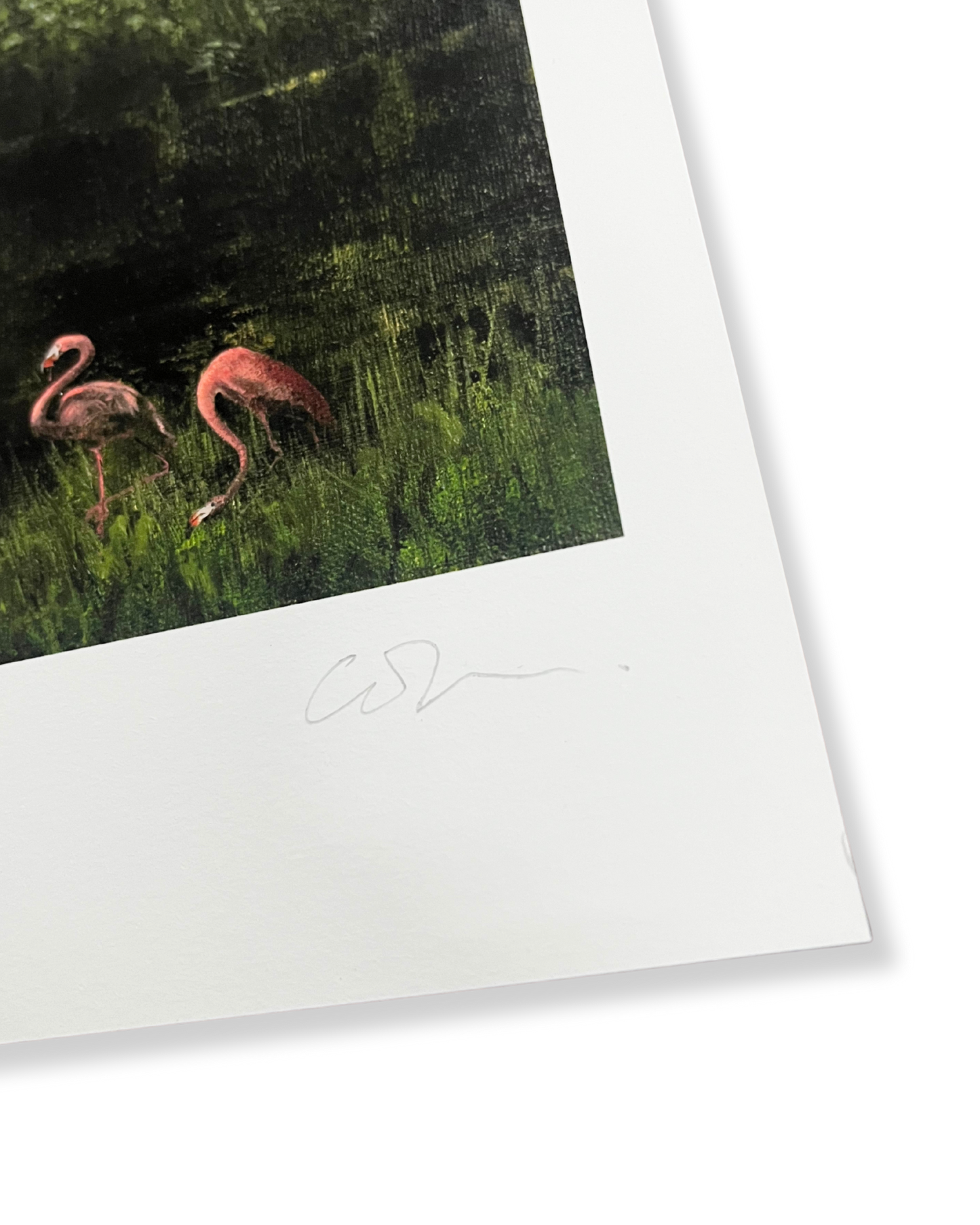 The Zoologist's House limited edition print