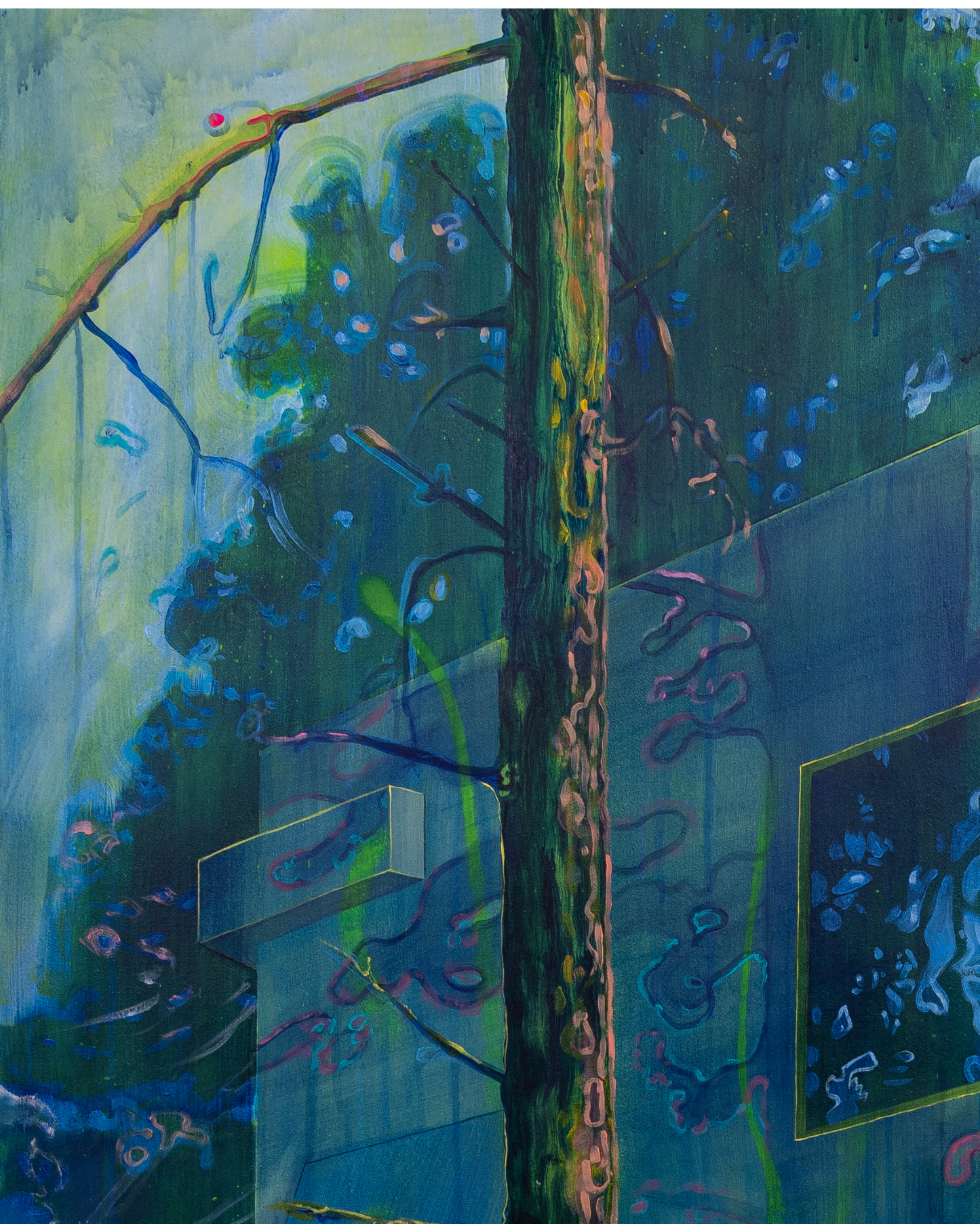 Cuboid and Pines