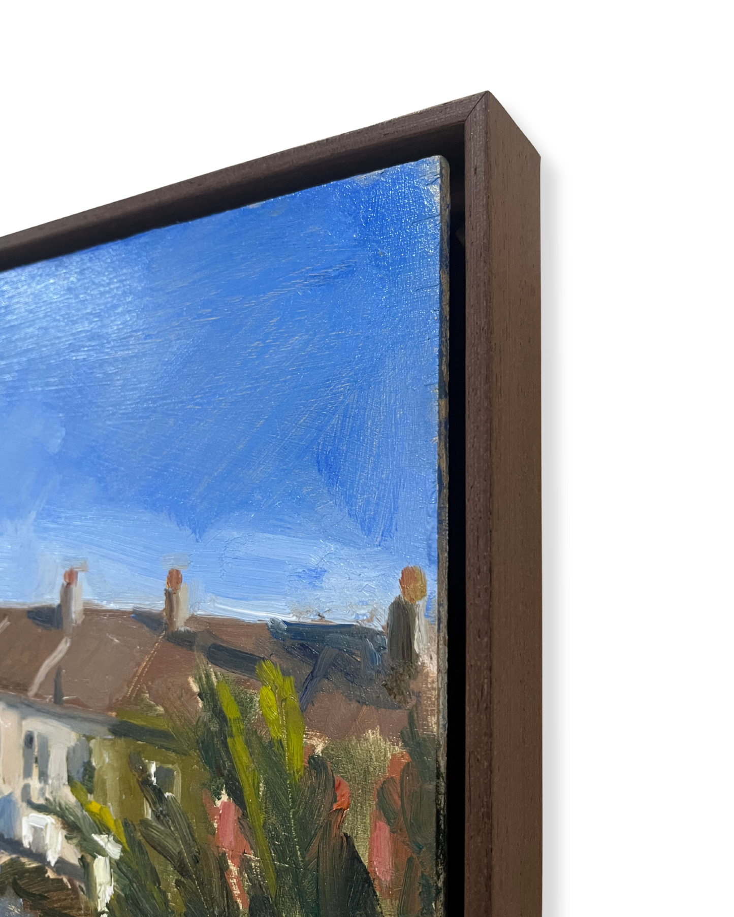 Backyard, Blue Sky